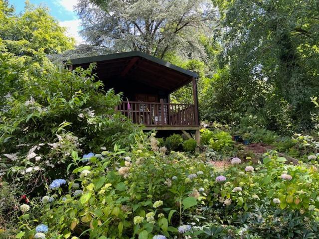 Woodland Views Lodge Blandford Forum Exterior photo